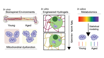 Research overview
