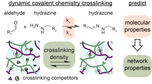 Molecular properties to predict network properties