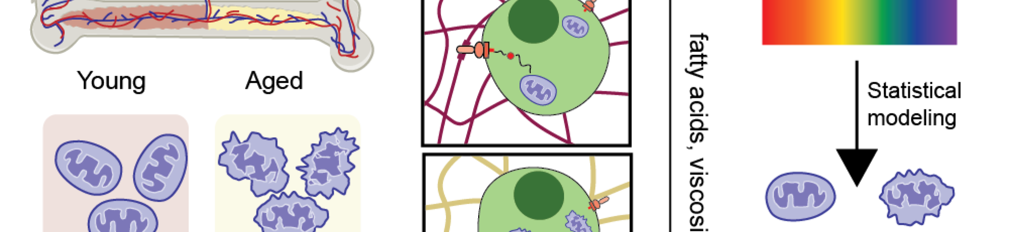 Research overview